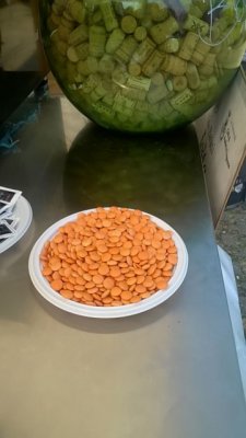 La Festa